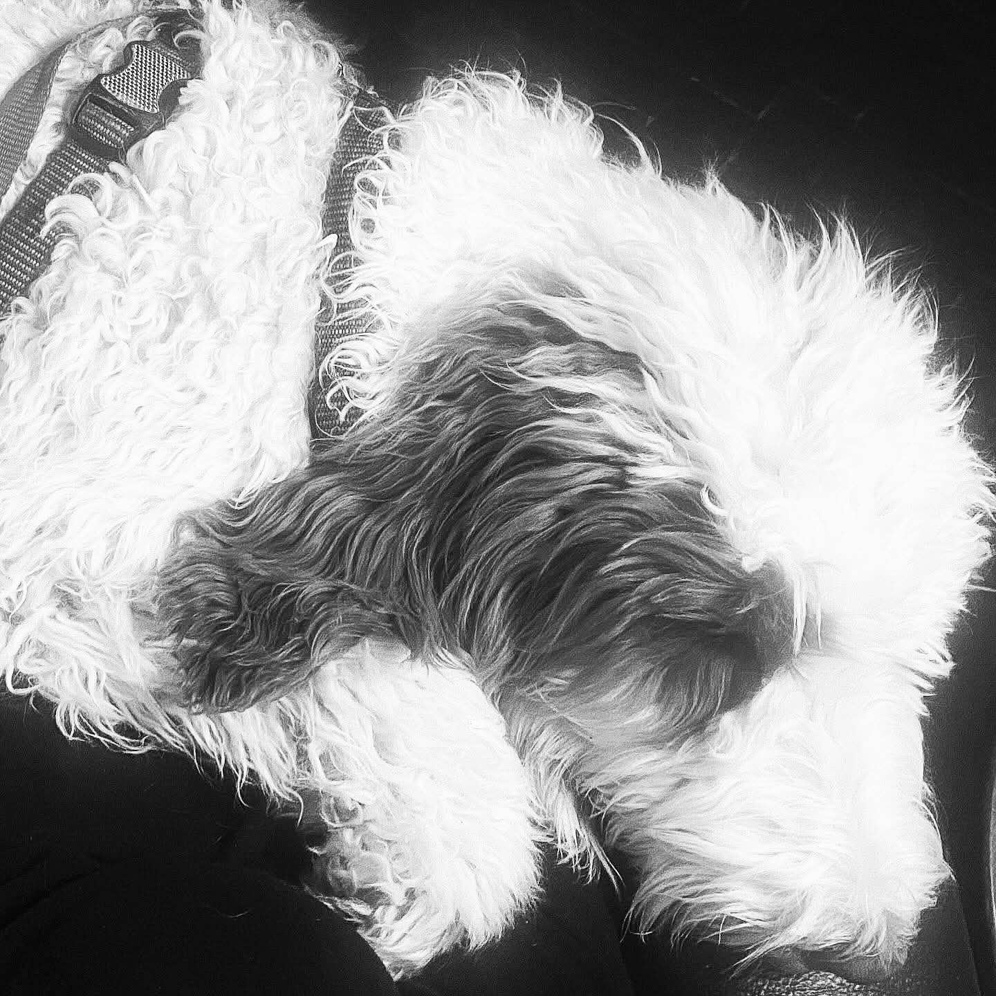 Arthur 2
